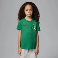 Nike Jordan Court of Legends Little детские 2-Piece Pants набор цвет серый