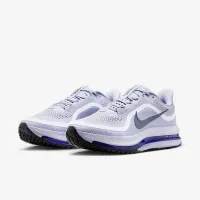 Nike Pegasus Premium мужские Road Running Кроссовки цвет серый