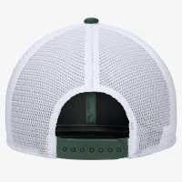 Michigan State Nike College Snapback Trucker Hat цвет зеленый