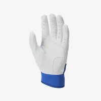 Nike Hyperdiamond Select Softball Gloves синий
