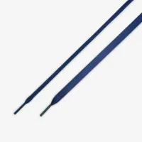 Nike Pegasus Premium жіноча Road Running Кросівки блакитний