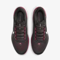 Nike Pegasus 41 NFL Tampa Bay Buccaneers чоловічі Road Running Кросівки колір сірий
