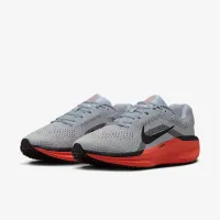 Nike Winflo 11 мужские Road Running Кроссовки цвет серый