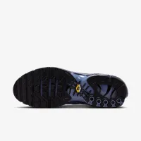 Nike Air Max Plus мужские Кроссовки синий