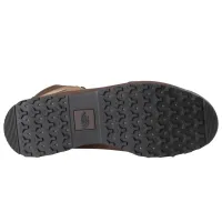 Кроссовки THE NORTH FACE BACK TO BERKELEY IV LEATHER MID WP (NF0A817QDQI1)