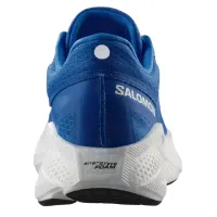 Кроссовки для бега Мужские Salomon AERO GLIDE 3 (478105)