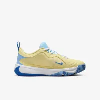 Nike Giannis Freak 5 Big детские баскетбольные Кроссовки синий