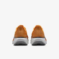 Tennessee Pegasus 41 мужские Nike College Road Running Кроссовки Orange