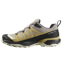 Кроссовки для треккинга SALOMON X ULTRA 360 GTX GORE-TEX (474536)