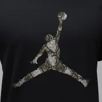 Nike Jordan Sport чоловічі Dri-FIT футболка колір чорний