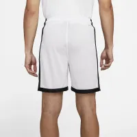 Nike Jordan Sport Dri-FIT Men's Mesh Shorts White