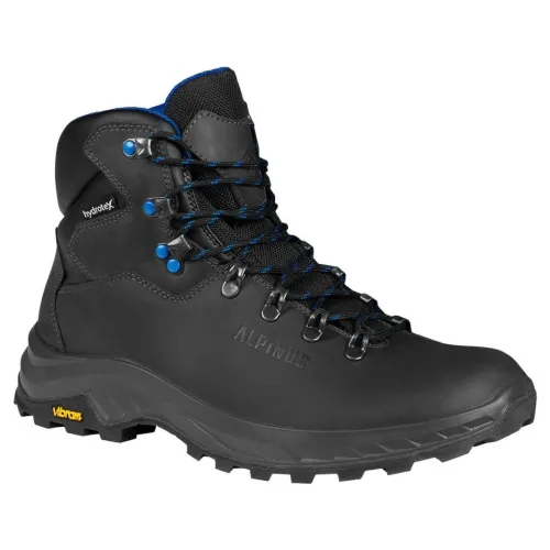 Кроссовки для треккинга Мужские ALPINUS GAZEJ (GR11746)