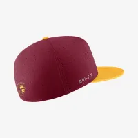 USC Nike College Fitted Baseball Hat цвет красный