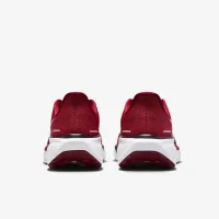 Nike Pegasus 41 NFL Arizona Cardinals мужские Road Running Кроссовки цвет красный
