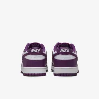 Nike Dunk Low Retro мужские Кроссовки цвет белый