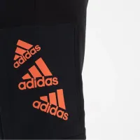 Штаны adidas Essentials Brandlove Fleece HL9375 - Черные