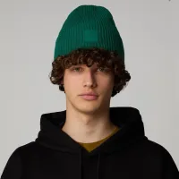 Шапка The North Face Urban Patch 0A7WJGNL11 - зеленая