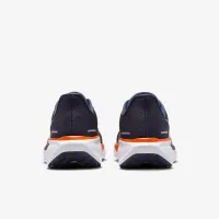 Nike Pegasus 41 NFL Chicago Bears чоловічі Road Running Кросівки блакитний