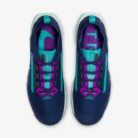 Nike Pegasus Trail 5 GORE-TEX чоловічі Waterproof Trail Running Кросівки блакитний