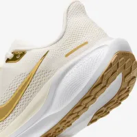 Nike Pegasus 41 женская Road Running Кроссовки цвет серый