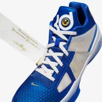 Nike Zoom KD 4 мужские Кроссовки синий