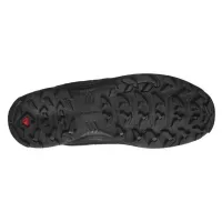 Кросівки для трекінгу SALOMON X BRAZE GTX Gore-Tex (471804)