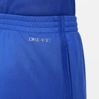 Nike Dri-FIT Little дитячі шорти блакитний
