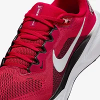 Ohio State Pegasus 41 чоловічі Nike College Road Running Кросівки колір червоний