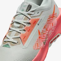 Nike Pegasus Trail 5 GORE-TEX мужские Waterproof Trail Running Кроссовки цвет серый