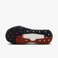 Nike Wildhorse 10 мужские Trail Running Кроссовки цвет серый