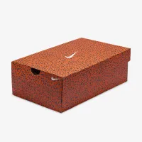 Nike Victory 2 Electric Track & Field Distance Spikes многоцветный