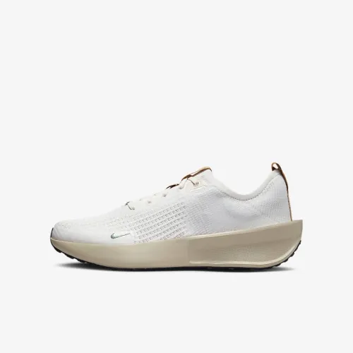 Nike Interact Run SE чоловічі Road Running Кросівки колір сірий