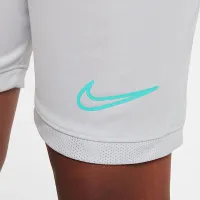 Nike Erling Haaland Academy Big дитячі Dri-FIT Soccer шорти колір сірий