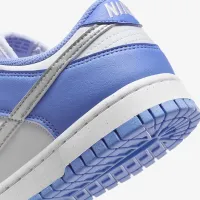 Nike Dunk Low Next Nature женская Кроссовки синий