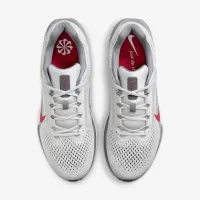 Nike Winflo 11 чоловічі Road Running Кросівки колір сірий