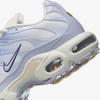 Nike Air Max Plus чоловічі Кросівки колір сірий