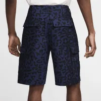 Nike SB Kearny чоловічі Allover Print шорти блакитний