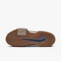 Nike GP Challenge Pro Premium мужские Hard Court Tennis Кроссовки цвет коричневый
