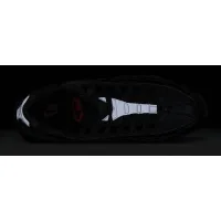 Кросівки Чоловічі NIKE AIR MAX 95 (FZ4626 002)