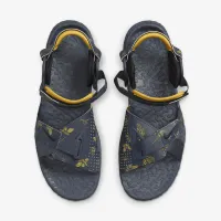 Nike ACG Air Deschutz+ SE Кросівки блакитний