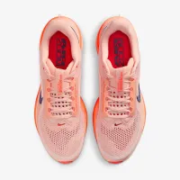 Nike Pegasus Premium мужские Road Running Кроссовки Pink