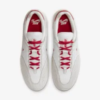 Nike SB Vertebrae мужские Кроссовки цвет белый