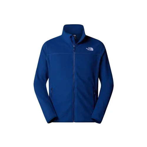 Кофта/футболка męska The North Face 100 Glacier Full-Zip Fleece 0A855XD1R1 - Cиний
