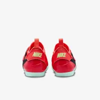Nike Pole Vault Elite Track & Field Jumping Spikes колір червоний