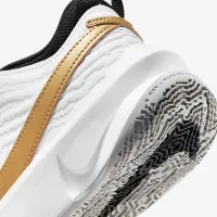 Кросівки Nike Team Hustle D 10                