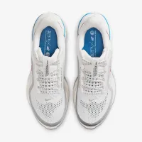 Nike Pegasus Premium женская Road Running Кроссовки цвет белый
