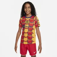 FC Barcelona Academy Pro Big детские Nike Dri-FIT Soccer Pre-Match Top Yellow