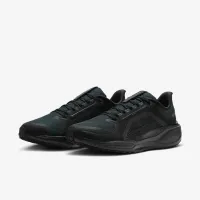 Nike Pegasus 41 GORE-TEX чоловічі Waterproof Road Running Кросівки колір чорний