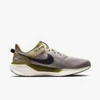 Nike Air Zoom Pegasus 41 SP чоловічі Кросівки колір сірий