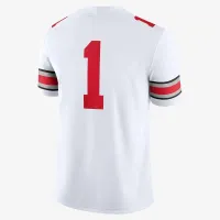 Ohio State Buckeyes мужские Nike Dri-FIT College Game Jersey цвет белый